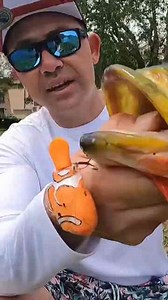 Finding Nemo fishing lure