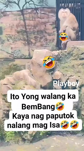 #goodvibes Wawa naman walang ka BEMBANG🤣🤣 #forintertainmentpurposesonly #playboy70週年快閃巡迴櫃 | Delos Angeles B. Dennis