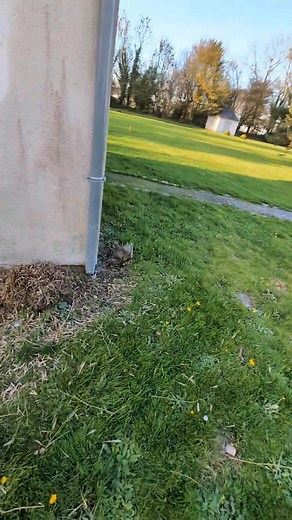 Application d'un nettoyant façade suivie d'un nettoyage au Karcher Prochaine étape : •pose d'un primaire silextra primaire lisse suivie de 2 couches de équation lisse mat de chez Maison Marchand - Label Qualité | B.l.decoration