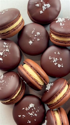 Dark Chocolate Maple Pecan Macarons 🍫 I cannot stop eating these 🫠 Recipe number five of six in my up coming eBook, Ber Months. With maple whipped ganache, pecan praline sauce, and a dark chocolate dip, this is the perfect balance of sweet, salty, and rich! Ber Months will be released this coming Sunday, October 5th! Tune in tomorrow as I announce the last flavor 🤗 Send this to someone who loves chocolate 🍫 #macarons #frenchpastry #falldesserts #cookierecipe #bakingreel | The Happy Mac