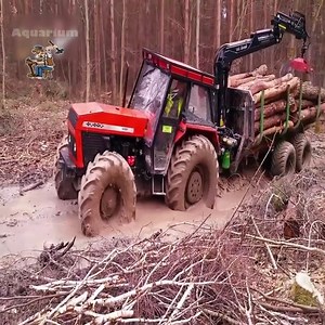 Crazy wood transporting machines Cre: Top Grind - TG | Top Grind - TG