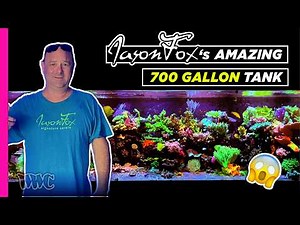 Exclusive Look into Jason Fox's Coral Tanks!