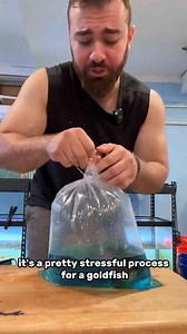 This goldfish sucks at swimming