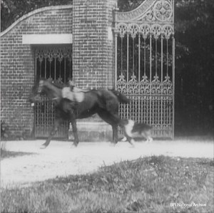 149K views · 983 reactions | What would we do without our pets?  In this film from 1907 our four-legged friends save the day when a young girl gets caught out by the tide in Bognor Regis. #BritainOnFilm #NationalPetDay | BFI | Facebook