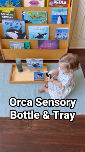 My youngest granddaughter, Arabella, 15 months old, is obsessed with orcas. Her fascination with orcas started at 12 months when she saw the orca show at the San Diego SeaWorld. So I prepared an orca tray with Schleich orca, orca sensory bottle (similar to the baby beluga sensory bottle I prepared for my oldest granddaughter in 2015), Baby Orca Finger Puppet Book, and free photos of orcas from Unsplash. Arabella loves the Baby Orca Finger Puppet Book. It’s very sweet and lots of fun to read to b