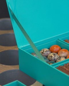 Patrick Roger on Reels