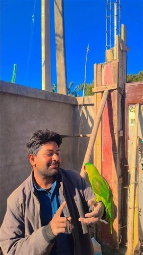 pinjre me popat bole #Hindireels #shortvideo #reelsvideo #lovesong