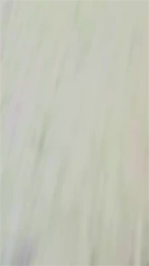 Calling all cheerleaders 📣 The National Cheerleading Championship is thrilled to bring Zephz cheer shoes to the Philippines 👟 Check out our booth at the Ynares Sports Arena during the national finals and see the latest collection for yourself! Pre-ordering will be available soon 👀 Stay tuned for more details. See you at the nationals! . . . #NCCPhilippines #BeStrongerThanEver #AnyoneCanCheer #NCC #Zephz #ZephzPhilippines #CheerShoes #Shoes #Cheer | National Cheerleading Championship