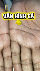 1.6K views · 1.9K reactions | Vân hình cá #coutgemini | Cô Út Gemini | Facebook