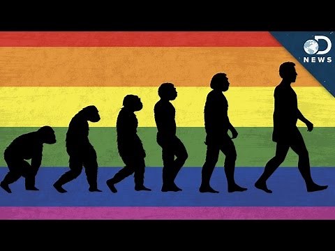 Why Is There Homosexuality?