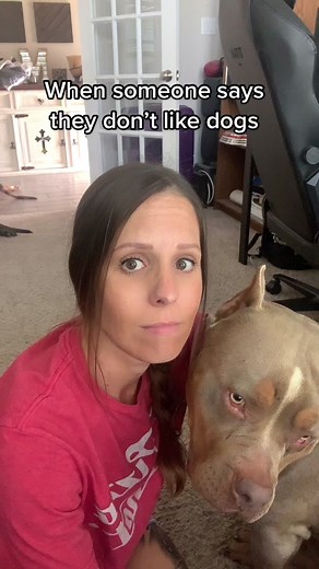 Judging you #dogsoftiktok #xlbully #americanbully