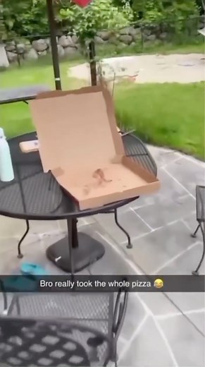 20 reactions | When the pizza suddenly disappears, what should you do with the pizza box? Greasy boxes are recyclable in some cities and are always compostable. Links to local rules: irecyclesmart.com/find-your-local-recycling-information/ Video via @iHad2GoGetit / Twitter | CalRecycle | Facebook