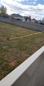 19K views · 119 reactions | Linejunk on Reels | Facebook