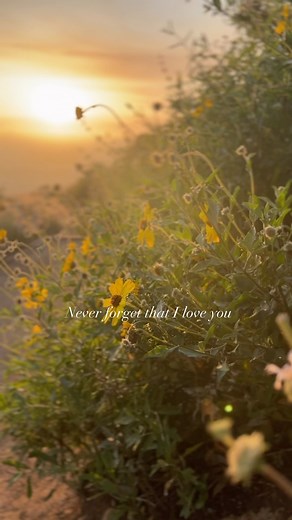 Dave Yabut on Instagram: "To My Daughter @the.wanderingpaddy Thank you for words and voice #sunset #sunsets #sunsetlove #fatherdaughter #poetry #sunsetphotography #scenic #scenery #beach #beachlife #beachvibes #spokenpoetry #beachphotography #poetry #poetrylovers #lifequotes #lifelessons #positivevibes #positive #postivequotes #sandiegophotographer #sandiegobeach #sandiegoliving #fyp #fypシ #hopeful #imissyou #iloveyou #sunrise_sunset_photogroup #sunrise_and_sunsets #parentlife"