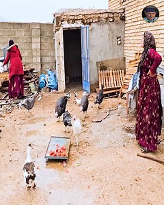 15K views · 284 reactions | The second wife begs her husband and the first wife not to tear her veil and cast her out Part 03 #nomadic #reelfb #life #nomadlife #adventure | Iranian Lifestyle | Facebook