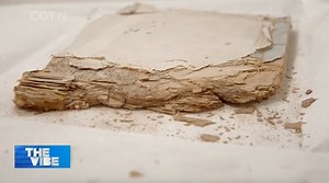 10K views · 42 reactions | There are four diagnostic methods used in traditional Chinese medicine: seeing, listening, questioning and feeling the pulse. When an ancient book restorer approaches a damaged ancient book, he or she also needs to make a preliminary diagnosis of their "patients" with their eyes and hands before taking further restoration measures. #TheVibe #Heritage | China Plus Culture | Facebook