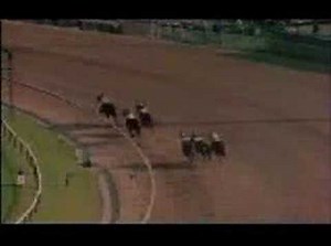 Greatest Horse in History