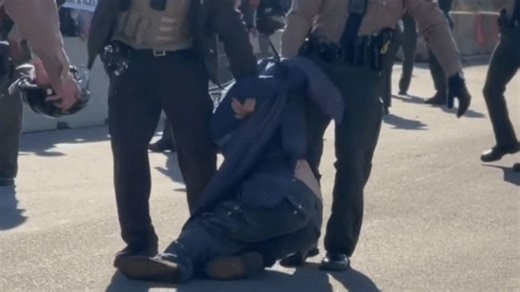 Faith Leaders Arrested During Protest at Illinois ICE Facility