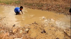 13 reactions | یەکەم تەڵە دەتوانێت ماسی زۆر بگرێت | KOYA POST | Facebook