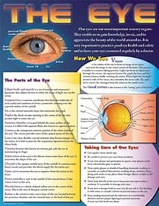 Carson Dellosa Mark Twain The Eye Chart (414040)