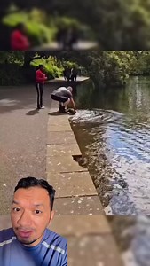 2M views · 10K reactions | A hipertermia em cães ocorre quando a...