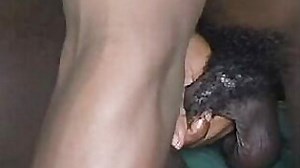 Bgpz African Vampire