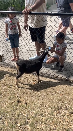 Do you love baby goats? So do we! 🐐💕 Come bottle-feed these adorable little goats and have a blast at the Indiana State Fair! ✨ | Indiana State Fairgrounds & Event Center