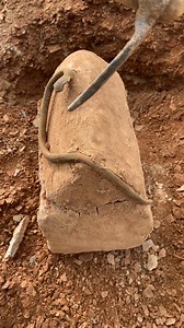 How tind treasure under bruried #treasurehunt#archaeology#treasurehunting | Gold digger