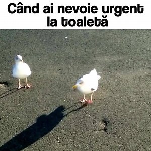 Hahaaa | Feeling Positive