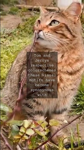 The Whiskered World A History of Cartoon CatsAs we navigate the fascinating realm of...