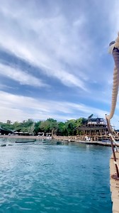 1.2K views · 112 reactions | Dolphin Reef - Eilat on Reels | Facebook