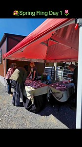 1.2K views · 26 reactions | Day 1 of The Spring Fling, Art Sale, and Vendor Event! Come join us tomorrow from 11-3 the weather will be ideal to meet the minis and get a kiss in our kissing booth and shop for mothers day with our wonderful vendors! See you tomorrow!!! 𢡊 | East Tennessee Miniature Horse and Donkey Rescue | Facebook