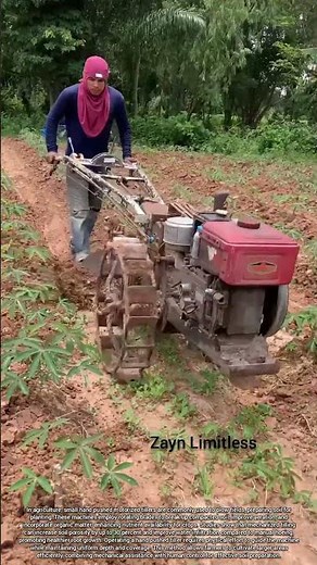 Hand Pushed Motorized Tillers for Efficient Soil Preparation in Agriculture