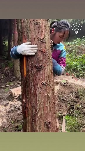 Meet the strongest female logger! | Creative Instructions