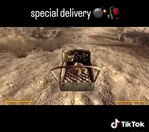 Fallout New Vegas gameplay overview