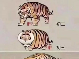 【东升集团】最新视频来袭，快来看看吧！