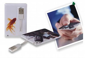 [Hot Item] Card Cbl Promotional Custom USB Flash Drive Gift