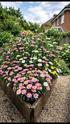 🌸 Onion Peel Fertilizer Boost | Mexican Aster Flower Bed Comes Alive #gardening #flowers