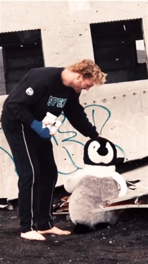 54K views · 703 reactions | The miracle behind Original #73… | Logan Paul | Facebook