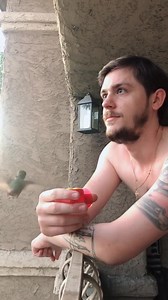 10K views · 470 reactions | First moment when I felt his a little foot on my finger. It was amazing feel  #Hummingbirdlove #hummingbird #reel #animals #videobird #viral #bird #nature #animais | Hummingbird Love | Facebook