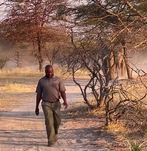 2.5K views · 88 reactions | The Zambian Stories on Reels | Facebook