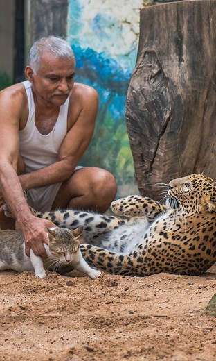 India's 'Dr Dolittle' builds orphanage for wild animals 👏 | Beastly Show