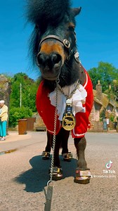 ❤️ The Mayor ❤️ of Cockington Village | The Adventures Of Patrick The Pony