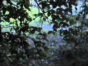 Alien Rape 2011 Kortfilm