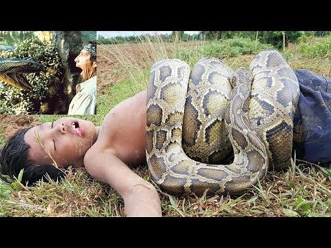 Anaconda kill a Man,Anaconda Attacks on Human Caught on Camera