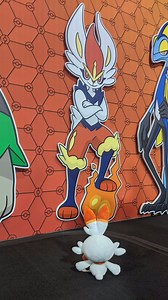 9K views · 356 reactions | All Champions start somewhere.  The...