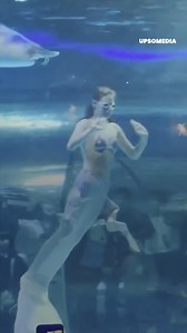 Cô gái này đang biểu diễn tại một thủy cung ở Trung Quốc, một con cá tầm khổng lồ đã khiến buổi biểu diễn của cô ấy kết thúc ngay trước mặt tất cả khán giả. | Tích cực