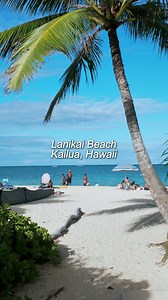 Lanikai Beach. Kailua, Hawaii. 🏖😎🥰 01.2026 #lanikaibeach #lanikai #kailua #hawaiibeach #bestbeach #beach #beachvibes #travelvibes #travel #repostwithmusic #oahu #hawaii #ハワイ #ハワイ旅行 #viralreelsシ #fbviral #love #hawaiilife #followus #allyhawaii #ellievloghawaii | Ally Hawaii
