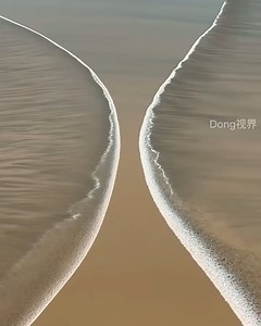 10K views · 494 reactions | Spectacular show of the tidal bore | DIY Panda | Facebook
