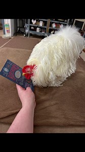 21K views · 1.9K reactions | MAIL CALL!! There is a package still to...